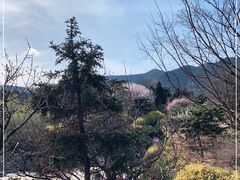 -北京西山国家森林公园