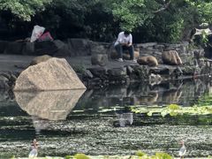 -荔枝公园(福田区)