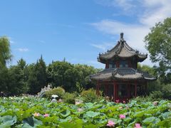 -莲池书院博物馆