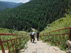 -芦芽山旅游度假区
