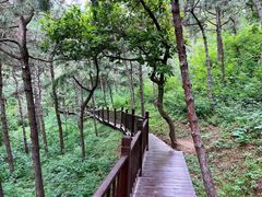 -北京十三陵国家森林公园蟒山景区