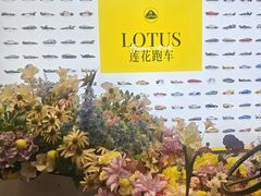 -莲花跑车(国贸商城店)