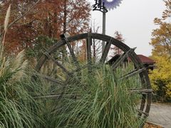 -上海长兴岛郊野公园