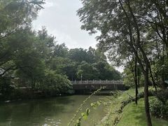 -顺峰山公园