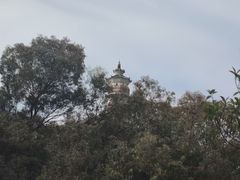 -榴花公园