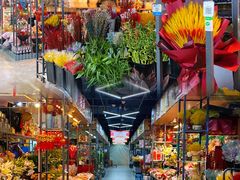 -大自然花鸟鱼虫市场