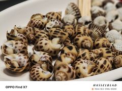 -温岭人家(红花北路店)