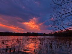 -楼外楼(西湖景区孤山路店)
