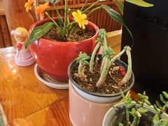 -粗粮人家·东北菜(洋桥店)