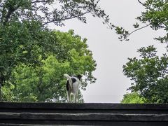 -广富林郊野公园