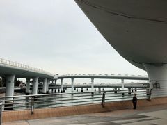 -演武大桥观景平台