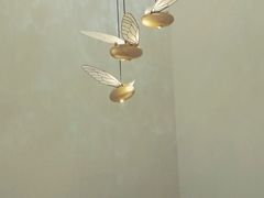 -大儒小厨·苏浙菜(瑞虹太阳宫店)