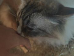 -白兔子密室(长寿路店)