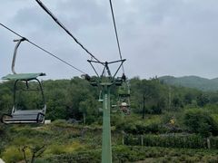 -磬锤峰森林公园