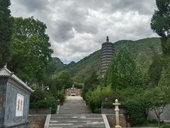 -芍药居北里