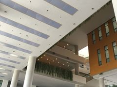 -海事大学图书馆(临港校区)