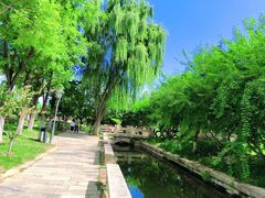 -三里河公园