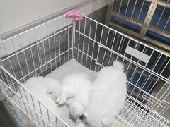 -山东柏宁水族批发广场