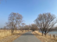 -野鸭湖国家湿地公园