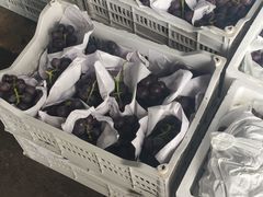 -江杨农产品批发市场