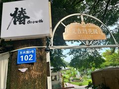 -椿Growth