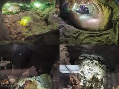 -湖南省地质博物馆