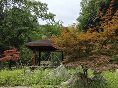 -素山寺森林公园