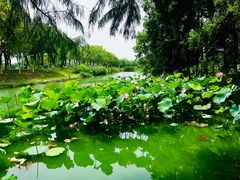 -艾溪湖湿地公园