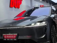-阿胡BOP保镖隐形车衣(静安旗舰店)