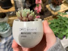 -AEON永旺(东方宝泰店)