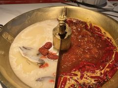 -小龙翻大江文化火锅(宽窄店)