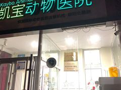 -悦宠凯宝动物医院·牙科·皮肤科(朝阳北路店)