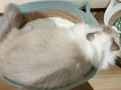 -听TA说宠咖·宠物生活馆(天韵水岸店)