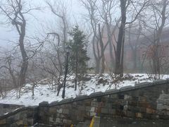 -泰山风景名胜区