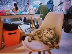 -幸运7纹身刺青Lucky7tattoo