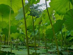-莫催咖啡