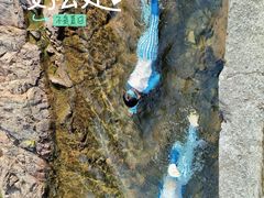 -宁波五龙潭景区