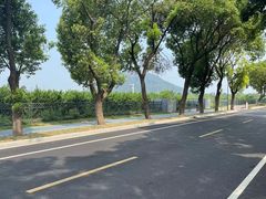 -老袁家蜜桃农场·阳山水蜜桃