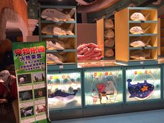 -烟台海昌鲸鲨海洋公园