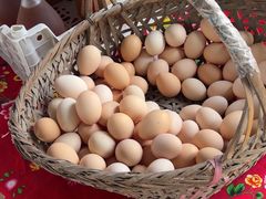 -马陆小张葡萄园农家乐