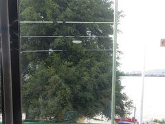 -八仔大富楼·河鲜(西江店)