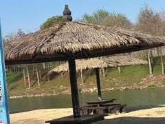 -合肥滨湖国家森林公园