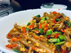 -壹盏灯(惠农店)