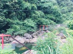 -浙西大峡谷