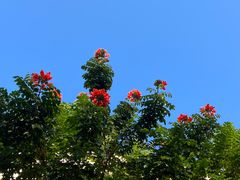 -三亚海棠湾万丽度假酒店