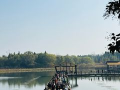 -溱湖国家湿地公园