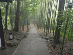-杭州黄龙洞
