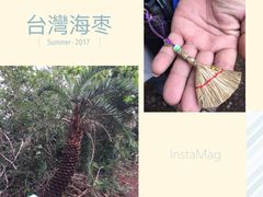 -龙坑生态保护区