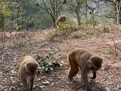 -重庆雨台山风景区
