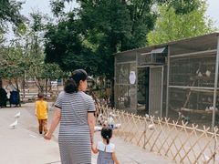 -1982农场